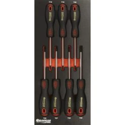 Module Mousse Finition Metal Tournevis Torx DRAKKAR TOOLS - 09727