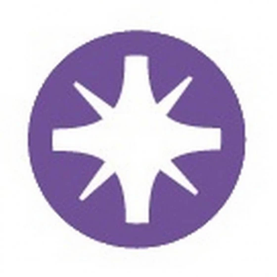 TOURNEVIS BIMATIERE S1 PZ N°1 5X250 SAM OUTILLAGE - T1PZ250 2 TOURNEVIS BIMATIERE S1 PZ N°1 5X250 SAM OUTILLAGE - T1PZ250 – Image 2